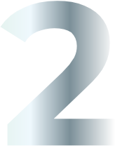 a2